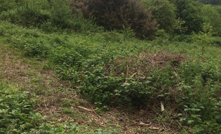 Image 5 of 8