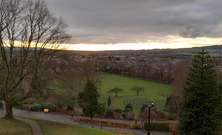 Image 14 of 21