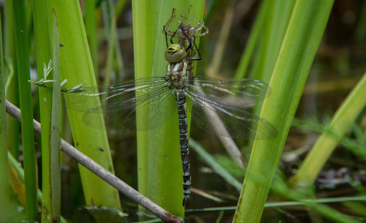 Image 11 of 22