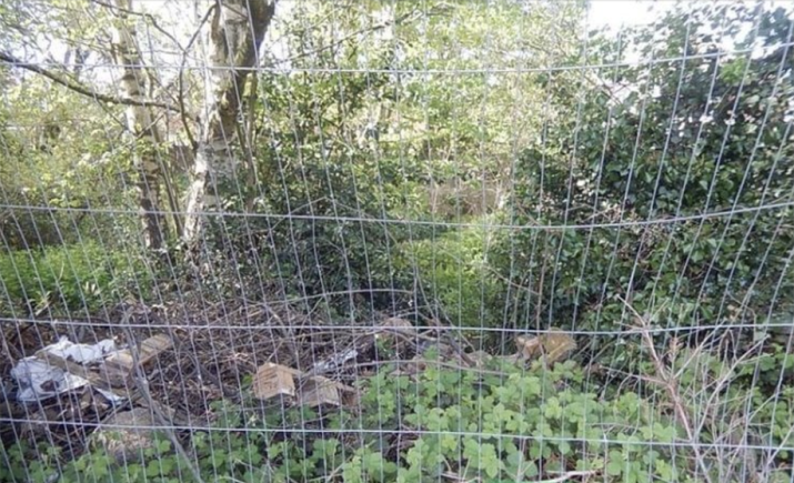 Image 80 of 122