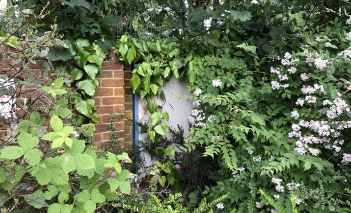 Image 6 of 12