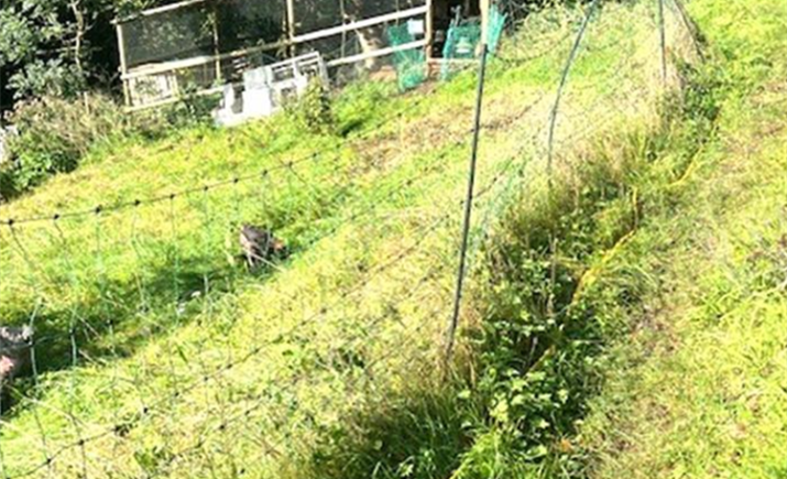 Image 6 of 8