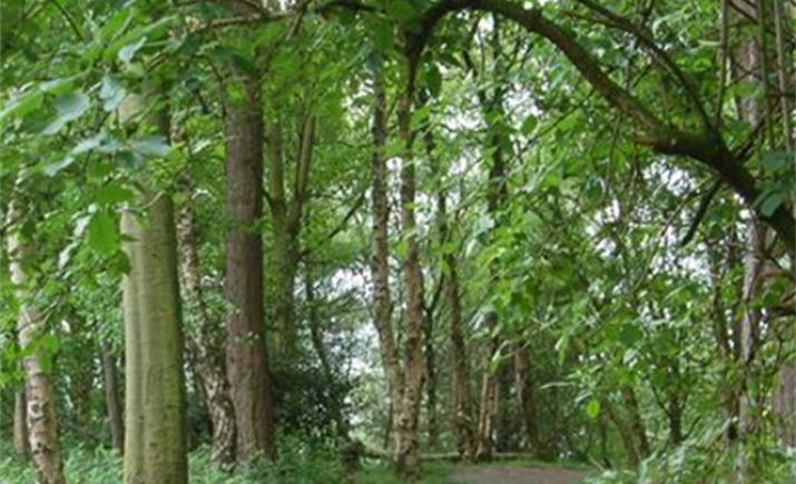 Image 13 of 15