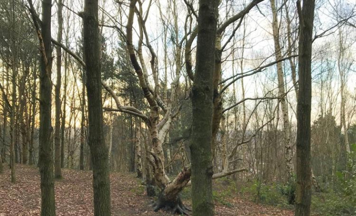Image 5 of 8