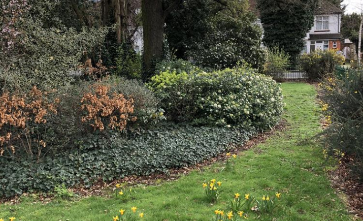 Image 25 of 35