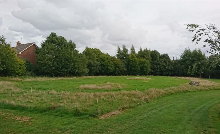 Image 5 of 7