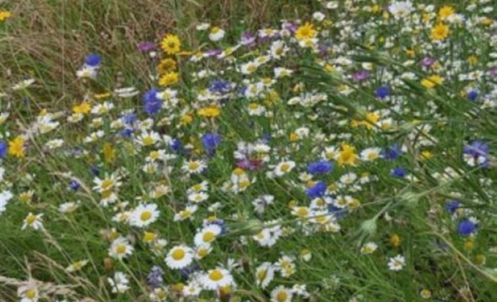 Image 14 of 32