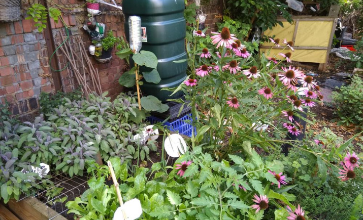 Image 15 of 17