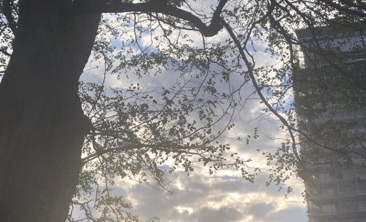 Image 35 of 40