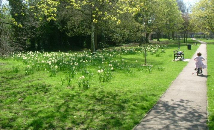 Image 4 of 10