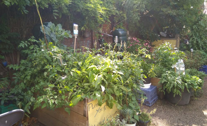 Image 14 of 17