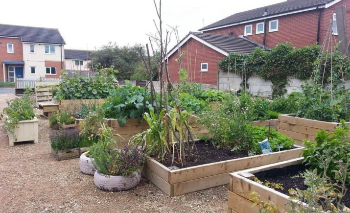 Image 2 of 6