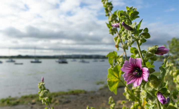 Image 13 of 14