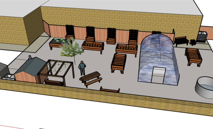 minster-surgery-therapy-garden-4.png