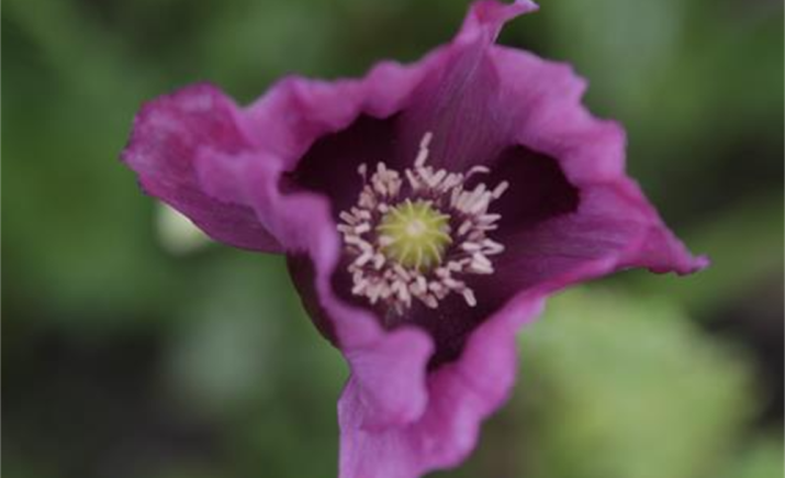 Image 12 of 16