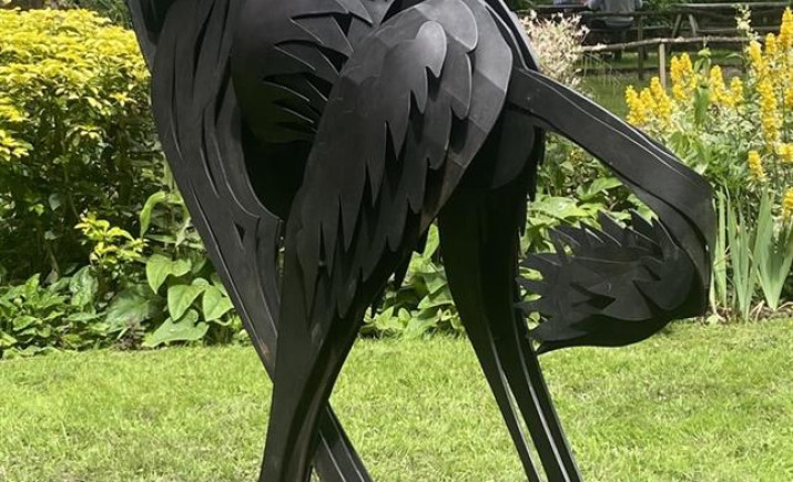 Image 31 of 32