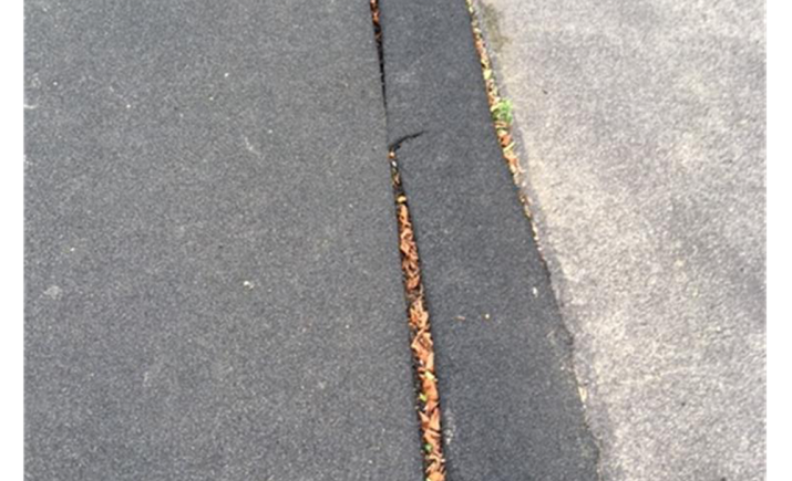 Image 8 of 15