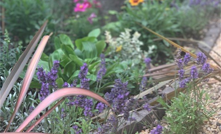 Image 4 of 5