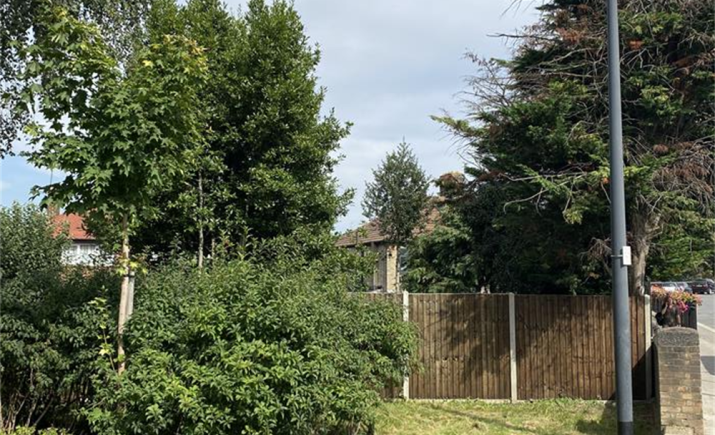 Image 6 of 16
