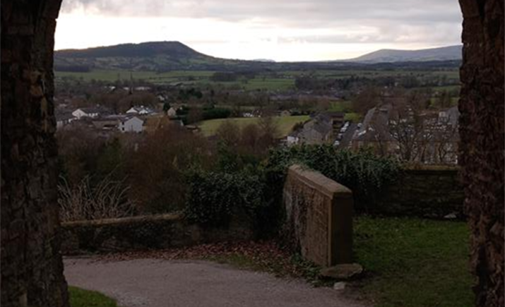 Image 7 of 21