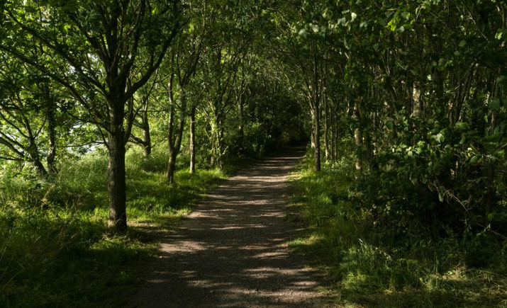 Image 8 of 14