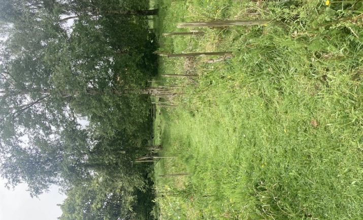 Image 8 of 16
