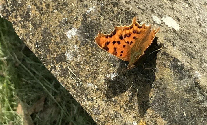 Image 22 of 23