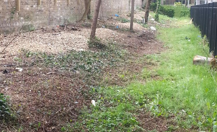 Image 11 of 11