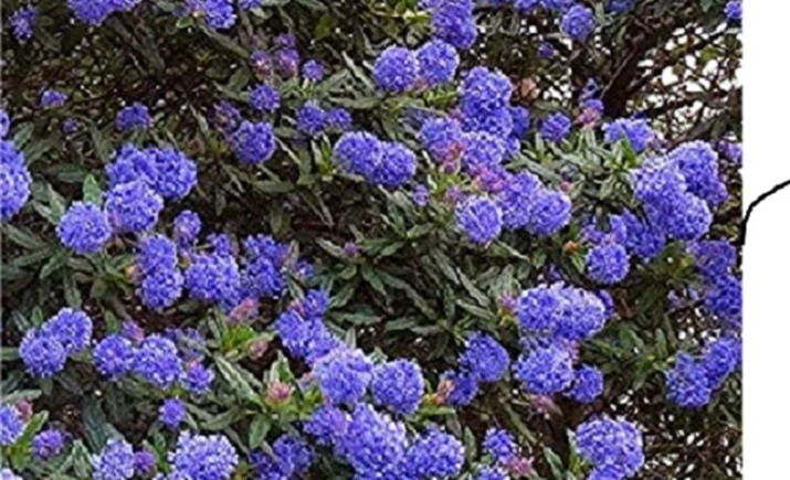 Image 7 of 8