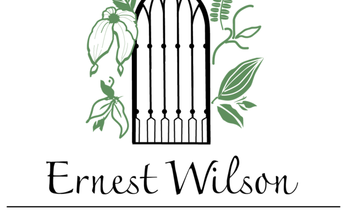 logo-colour.png