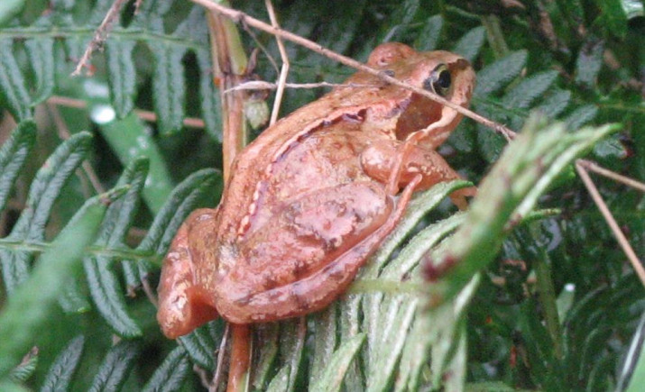 Image 12 of 22