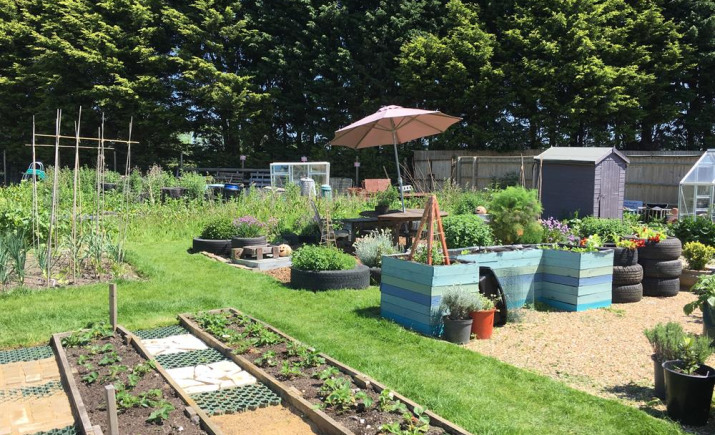 Image 8 of 12