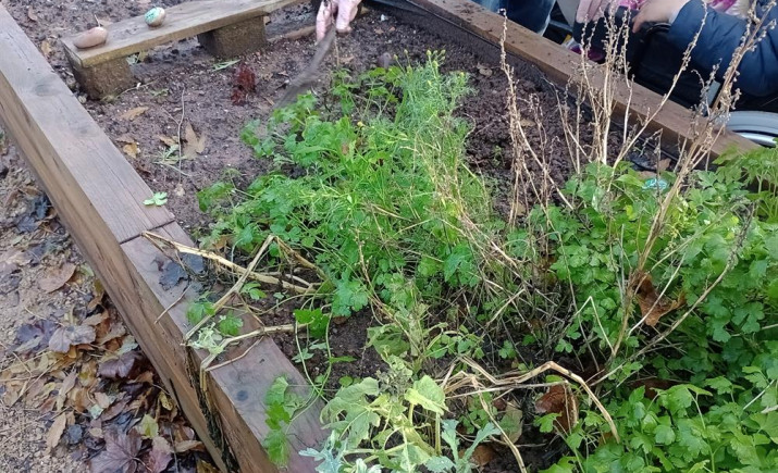 Image 2 of 6