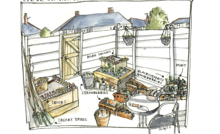 steve-starts-some-growing-off-iin-the-back-yard-07-apr-2016.jpg