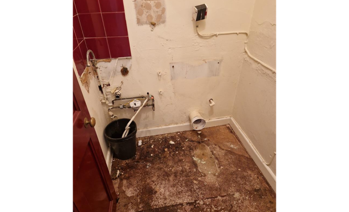 Image 7 of 8