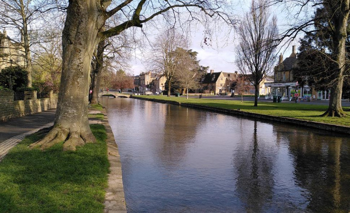 Image 7 of 11