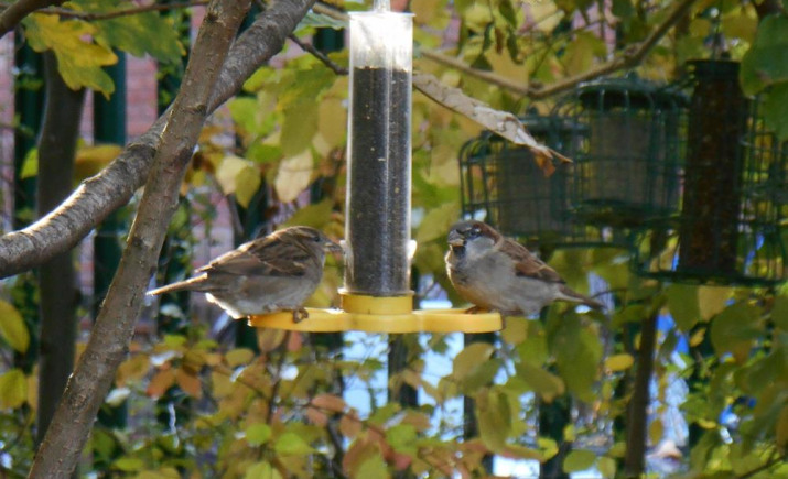 Image 15 of 20