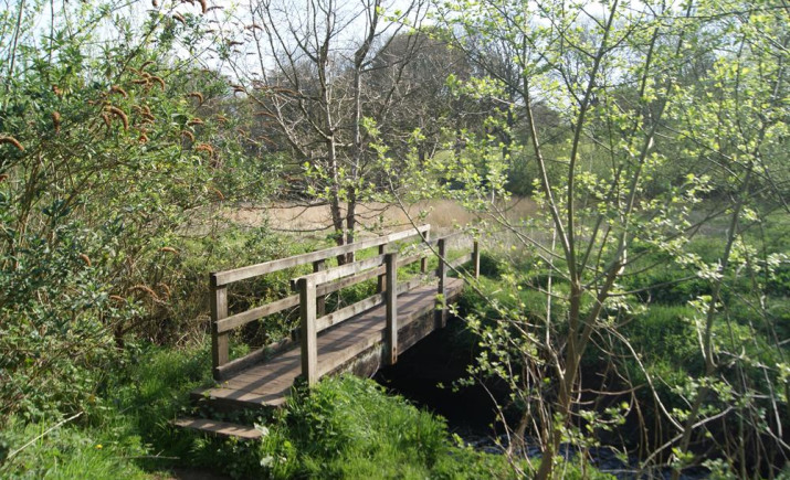 Image 4 of 18