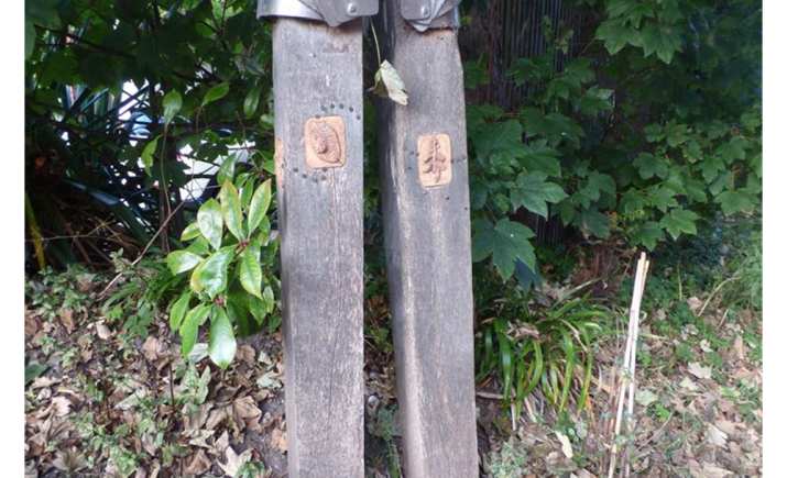 Image 16 of 17