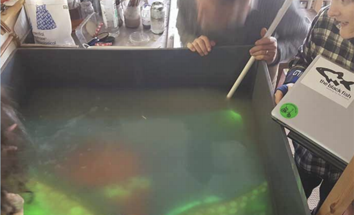 Image 10 of 20