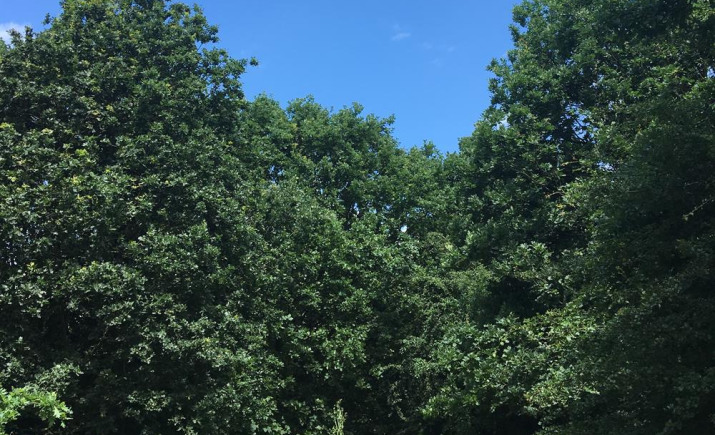 Image 6 of 26