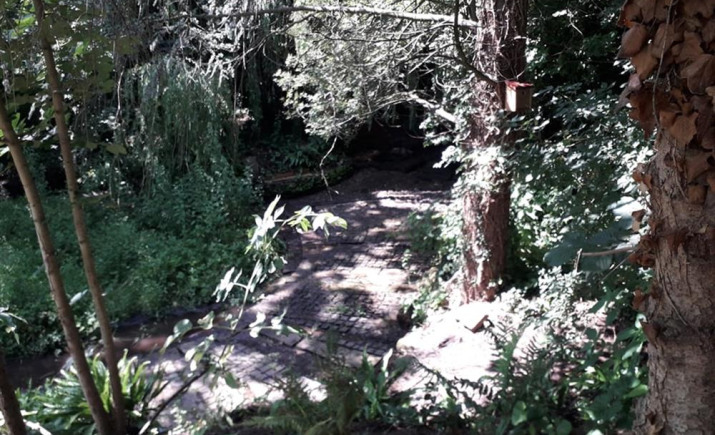 Image 13 of 104