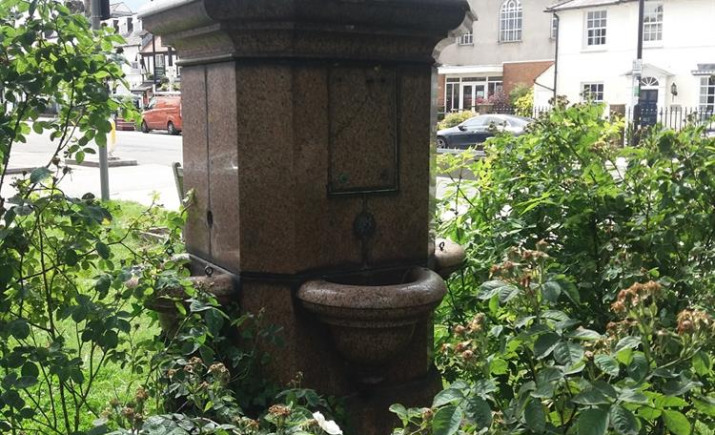 Image 6 of 8