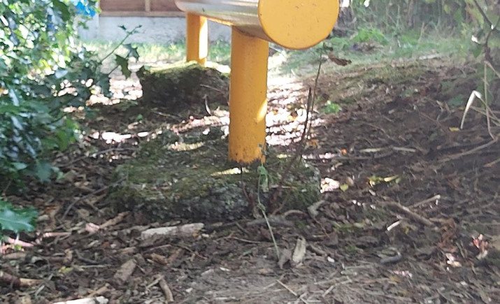 Image 4 of 4