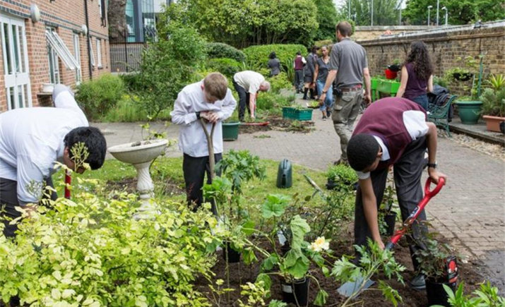 academy-group-garden.jpg