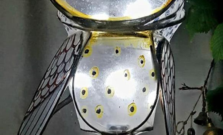 Image 2 of 3