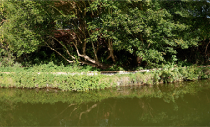 Image 15 of 36