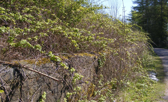 Image 11 of 26