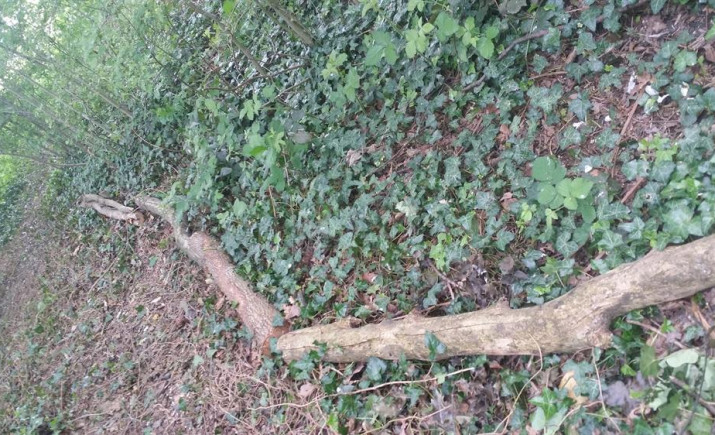 Image 10 of 26