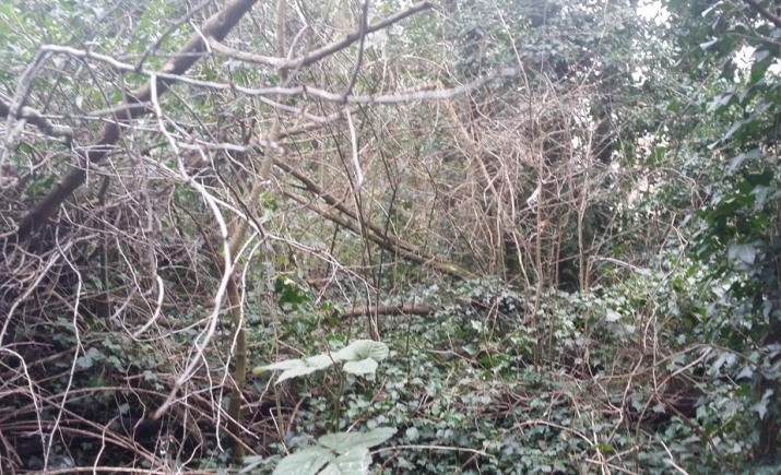 Image 3 of 26